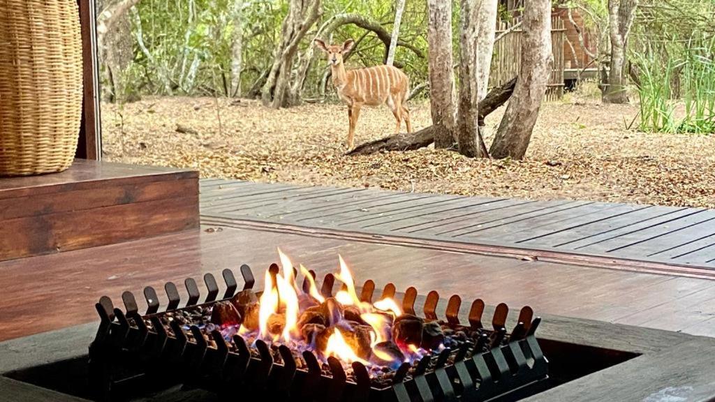 Hideaways Lazuli Bush Lodge, Hluhluwe Exterior foto